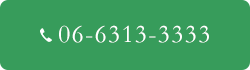 06-6313-3333