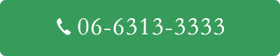06-6313-3333