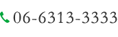 06-6313-3333