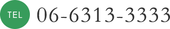 06-6313-3333