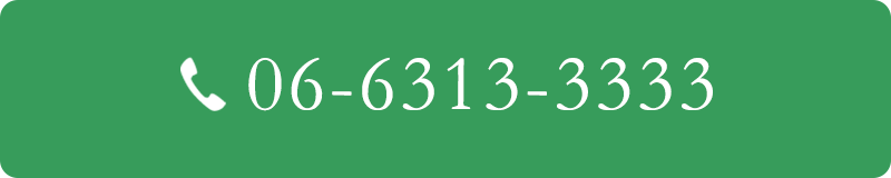 06-6313-3333
