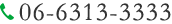 06-6313-3333